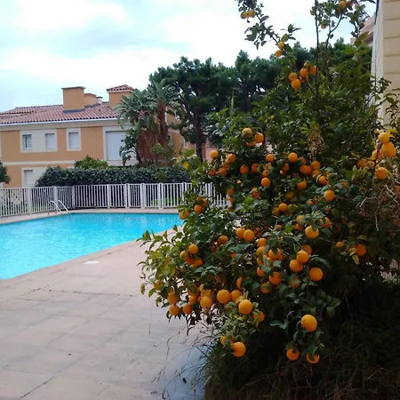 Direct Monaco Studio Devant Piscine Beausoleil Exterior photo