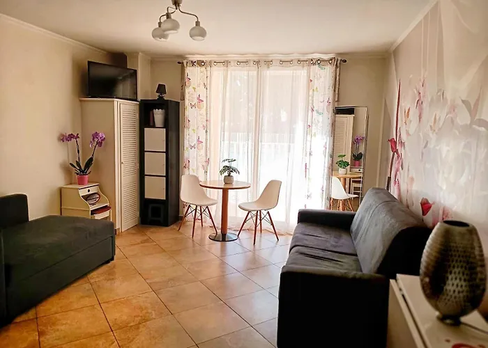 Direct Monaco Studio Devant Piscine