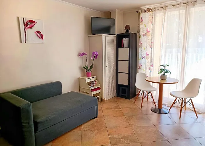 Direct Monaco Studio Devant Piscine