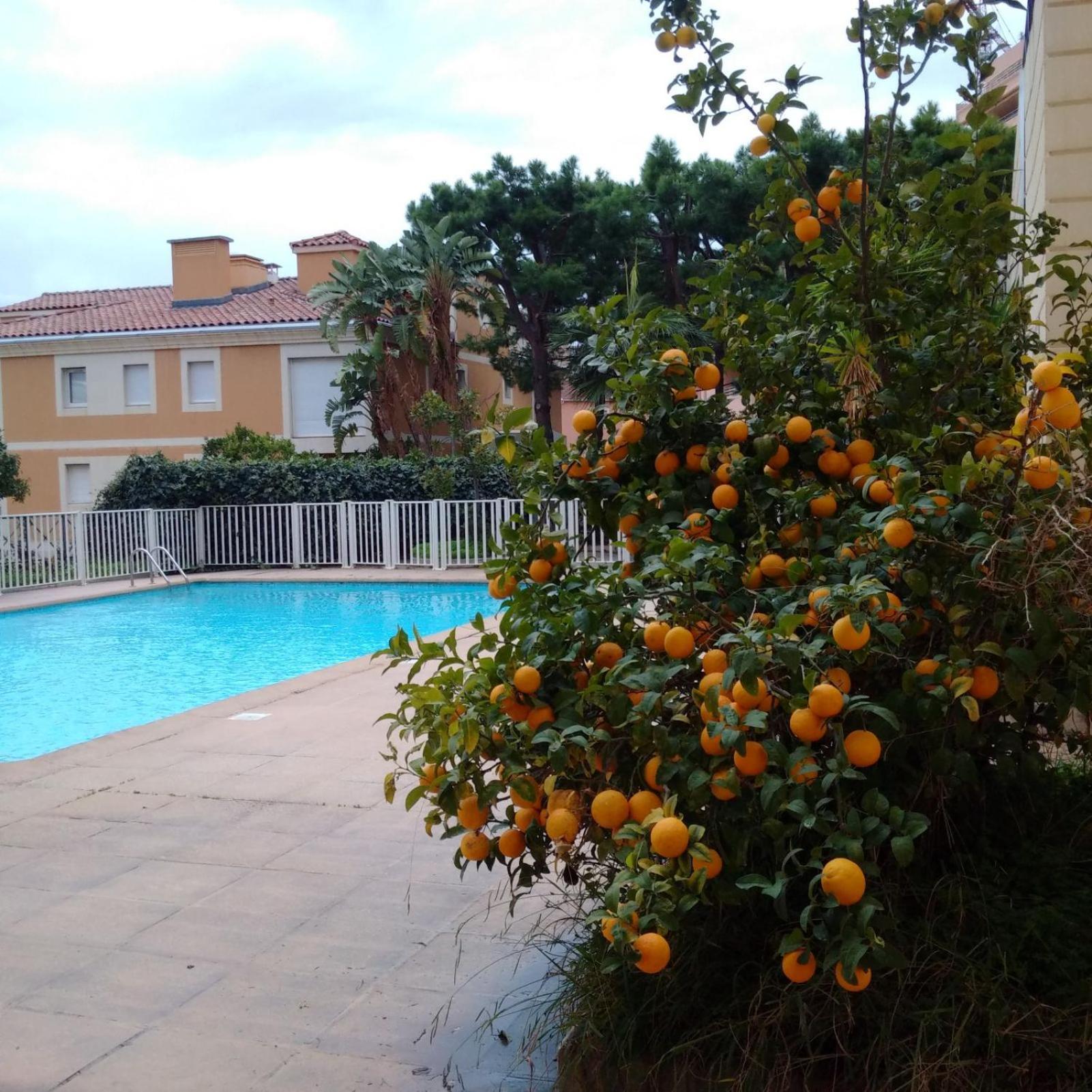 Direct Monaco Devant Piscine Apartment Beausoleil