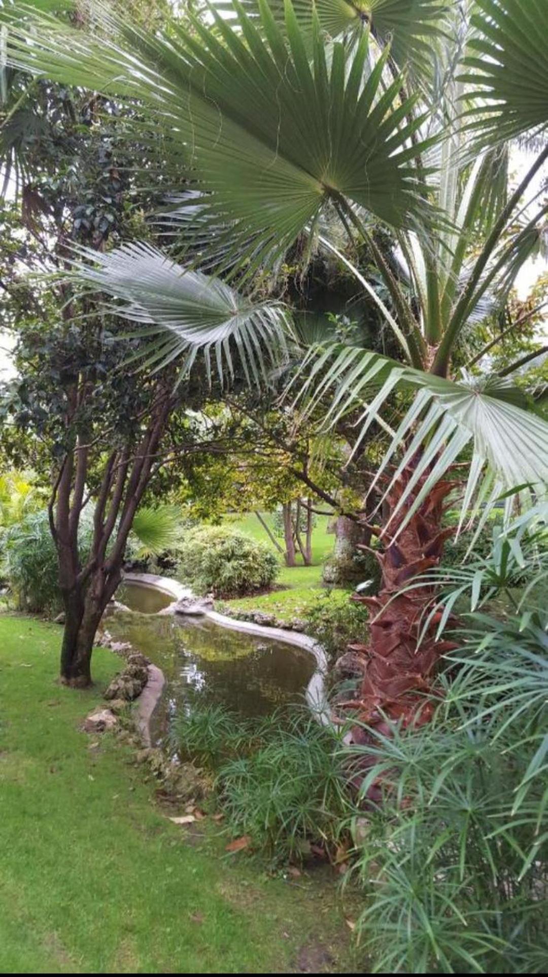 Apartment Direct Monaco Devant Piscine Beausoleil